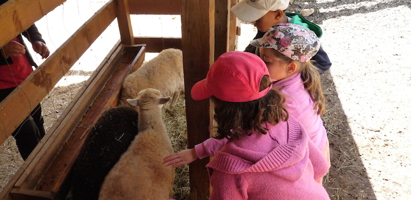 Colonies de vacances à la ferme avec les PEP 34.