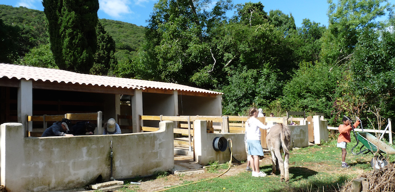 Mini ferme Herault - Parc de loisirs pour enfants