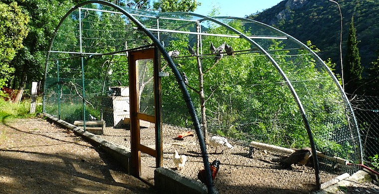 Les animaux de la ferme pédagogique PEP 34 de Malibert.