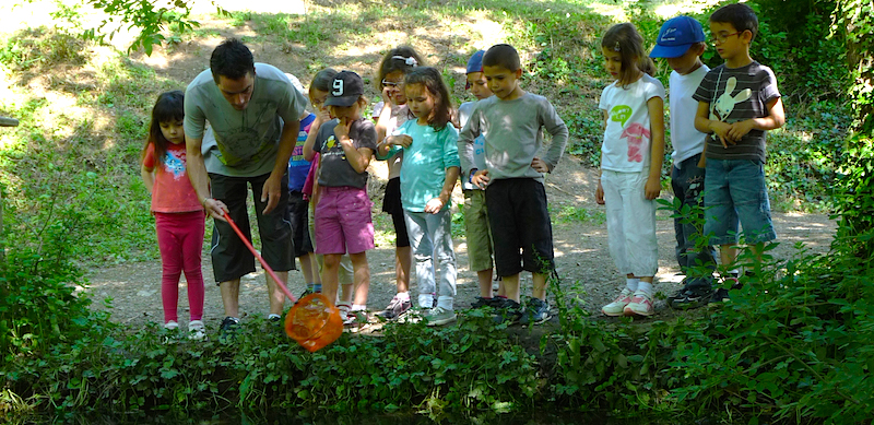 Découverte de la nature au centre de vacances de Malibert.