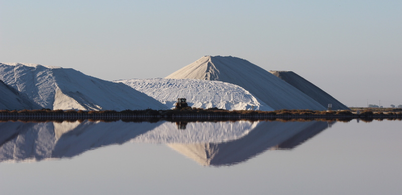 Les camelles de sel, aux salins d'Aigues-Mortes.