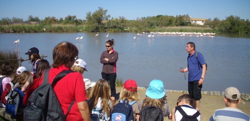 Le parc ornithologique du Pont de Gau à découvrir en colonie de vacances.