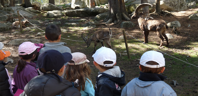 Le parc animalier des Angles.