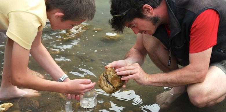 Etude du milieu aquatique.